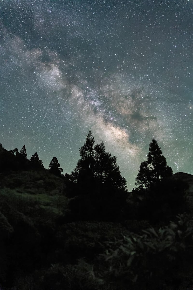 Planetary Promises